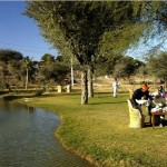 Desert Resort Mandawa Dining 1