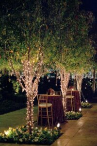 Wedding Lighting Ideas and Inspiration Outdoor Wedding Lighting String Lights on Trees